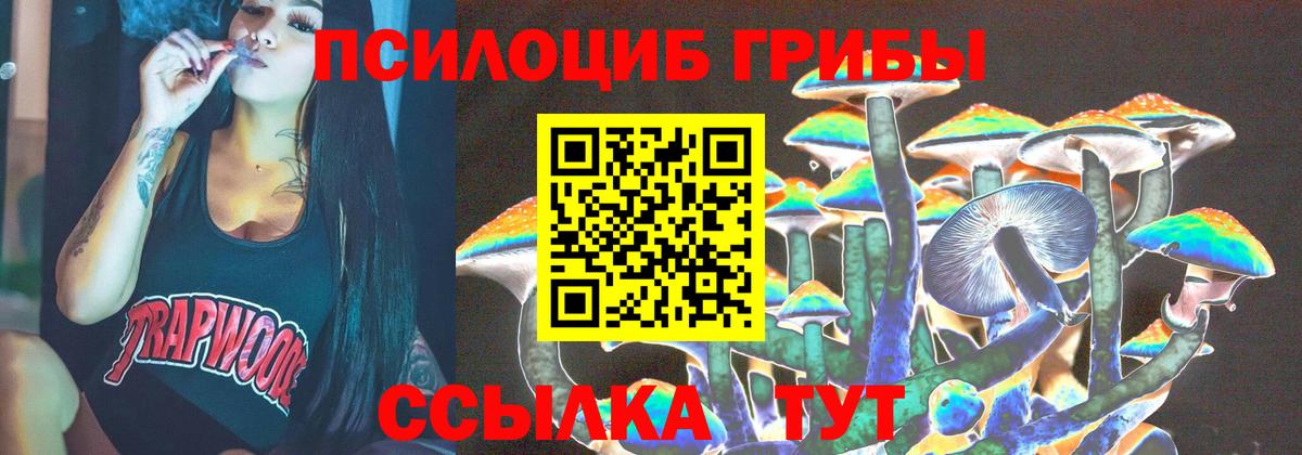 Галлюциногенные грибы Cubensis Лыткарино
