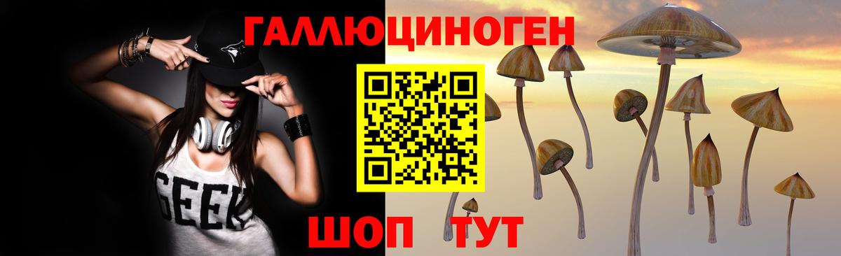 Лыткарино  Галлюциногенные грибы Cubensis  Вход с VPN 
